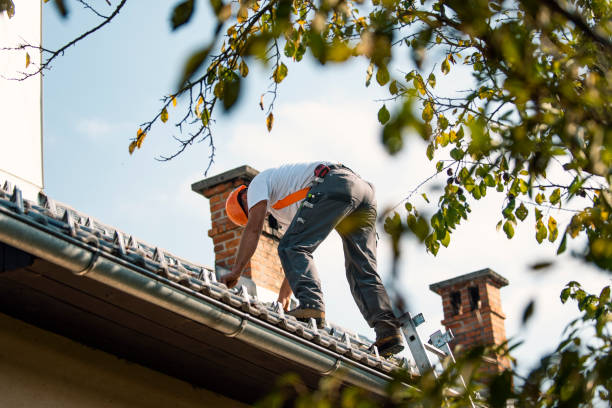 Best Roof Maintenance Services  in Port Byron, NY