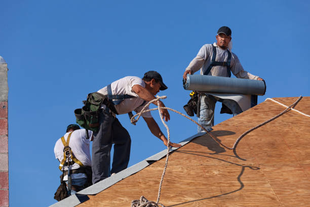 Best Storm Damage Roof Repair  in Port Byron, NY